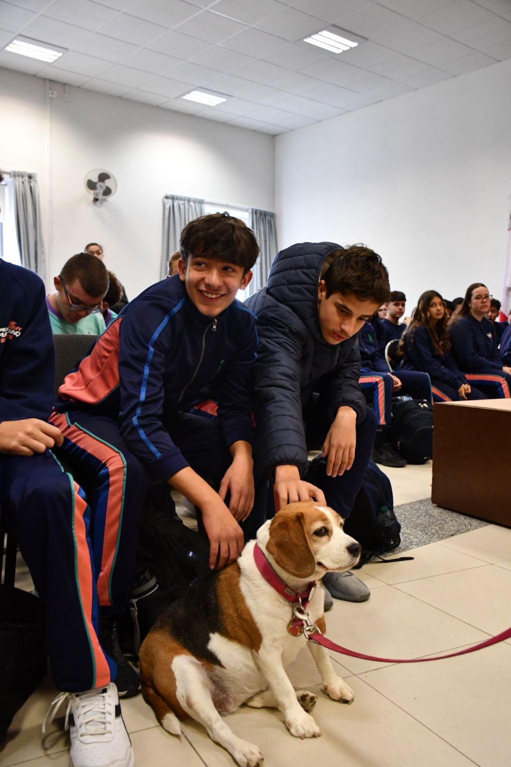 🐕Animal Awareness Week🐈