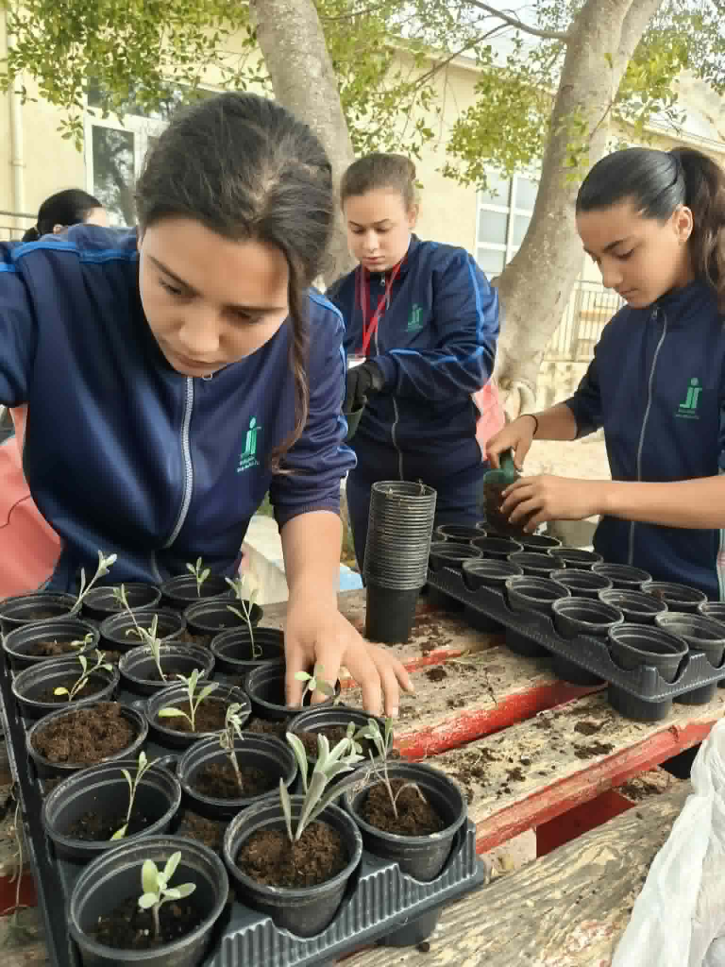 🌱Our Green Thumbs 🪴